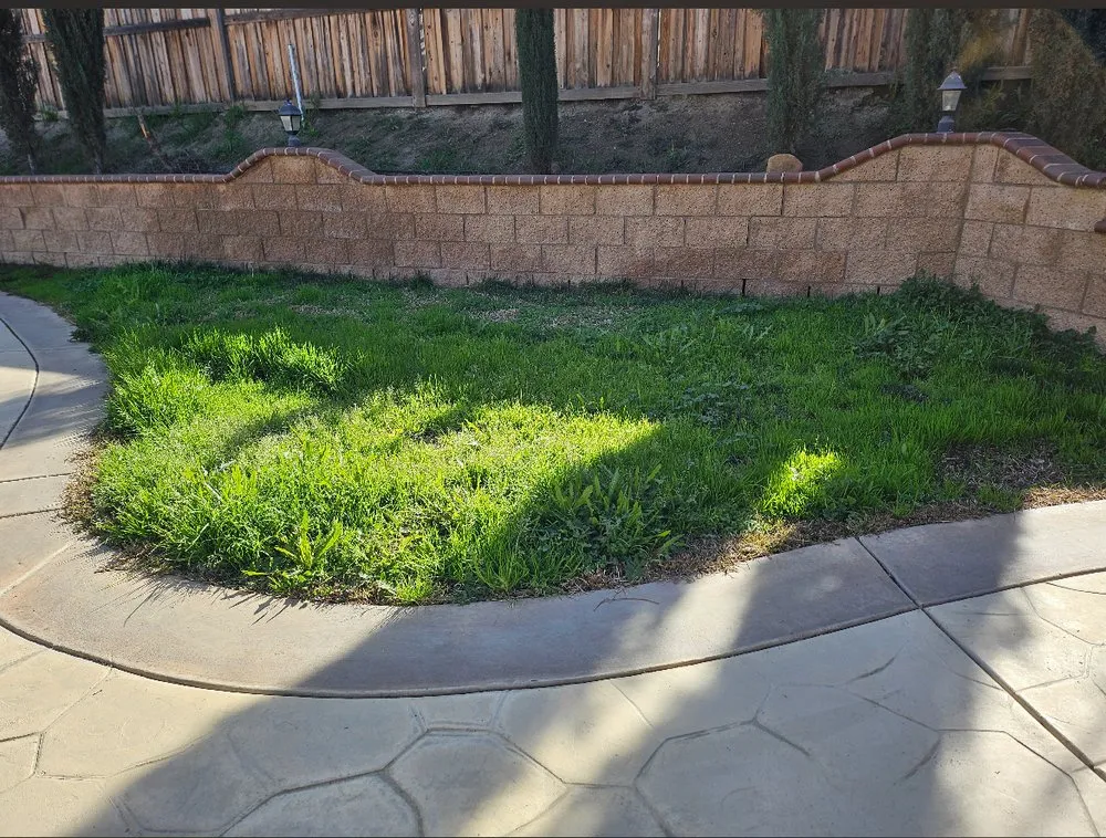 Professional lawn care service for outdoor upgrades across Lake Elsinore, CA - C&R Lawn Care