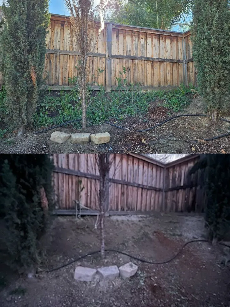 Expert yard maintenance for year-round maintenance across Lake Elsinore, CA - C&R Lawn Care