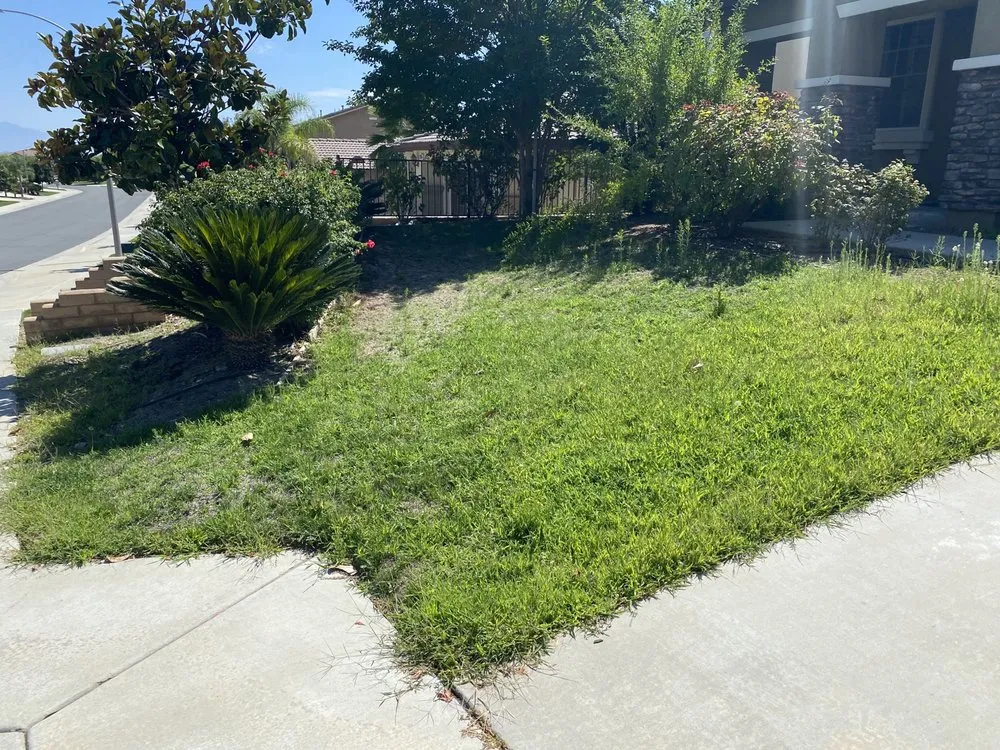 Professional landscape installation in Lake Elsinore, CA by C&R Lawn Care