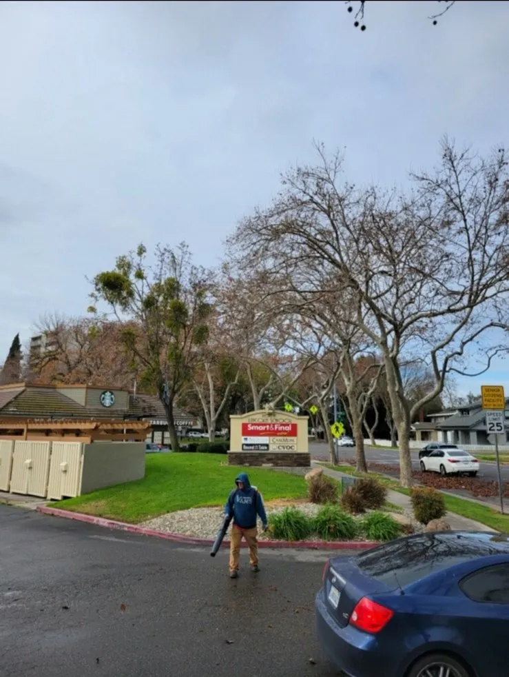 Affordable yard maintenance in Modesto, CA - CR Lawn Care