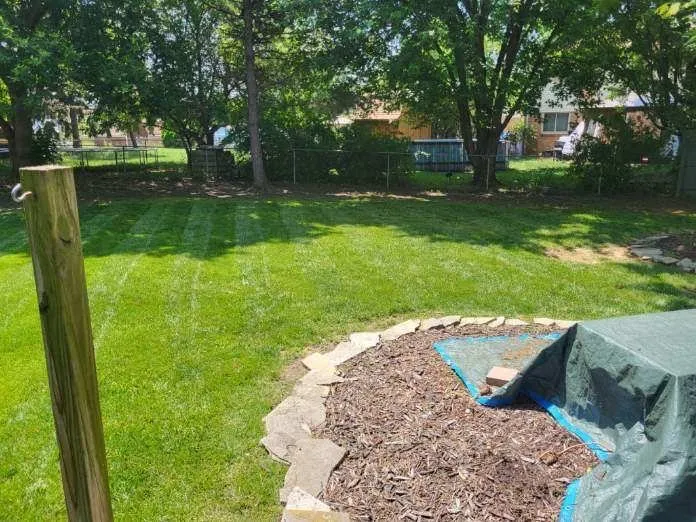 Expert lawn care service in Roseville, MI by C&R Lawn Services