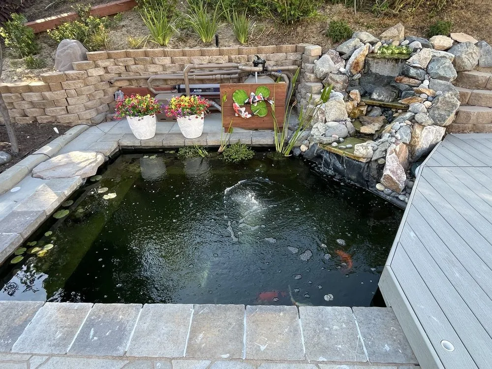 Reliable yard cleanup service in Murrieta, CA by CR Pacific Landscape Design and Construction