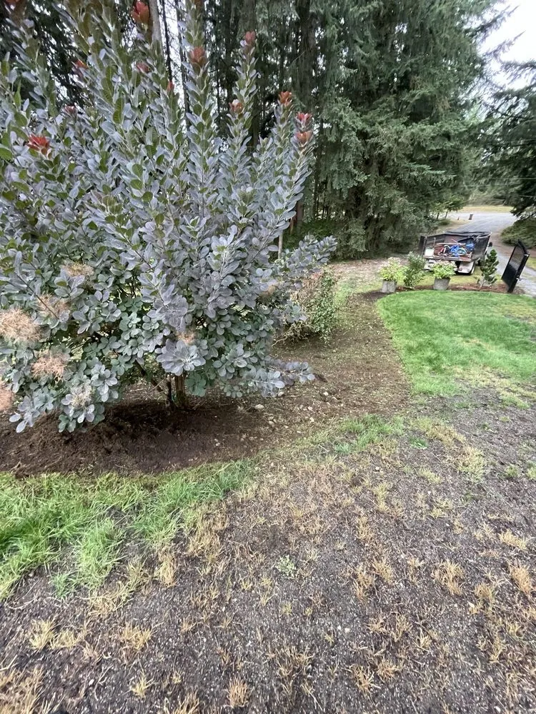 Top-rated yard maintenance in Kent, WA by CR Paver and Landscaping