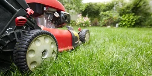 Local lawn care service experts serving Port Chester, NY - CR Power Equipment