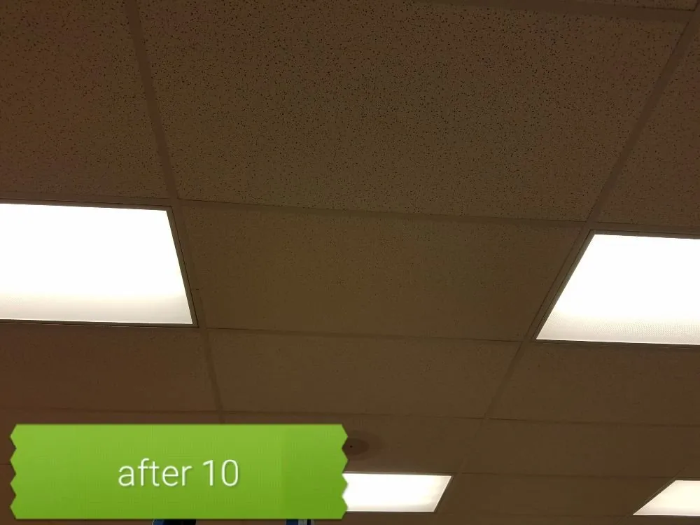 Trusted outdoor landscaping in Mobile, AL by CR Repairs and Improvements