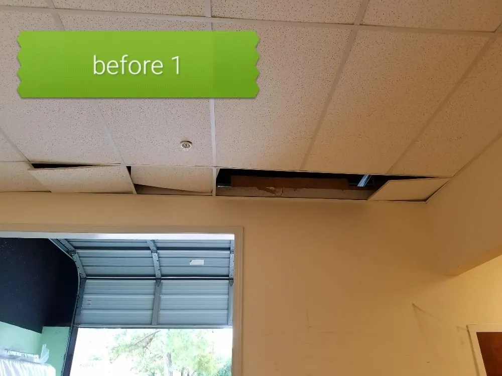 Affordable yard maintenance with custom design in Mobile, AL by CR Repairs and Improvements