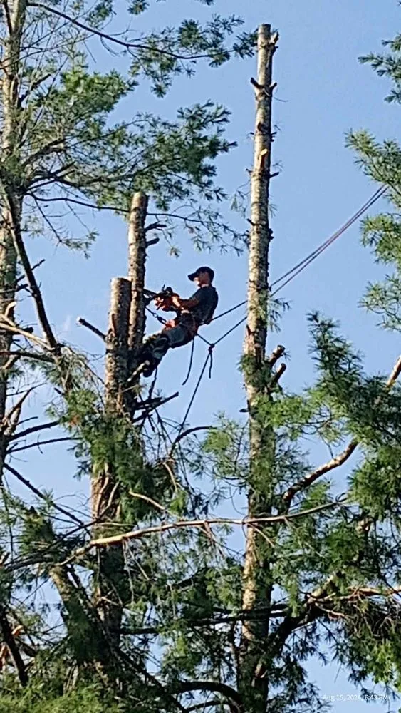 Expert outdoor landscaping in Todd, NC - C&R Tree Service And Landscaping