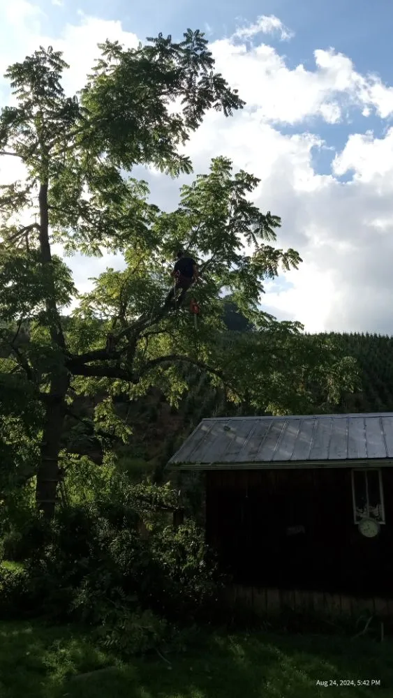 Top-rated garden landscaping near you across Todd, NC - C&R Tree Service And Landscaping