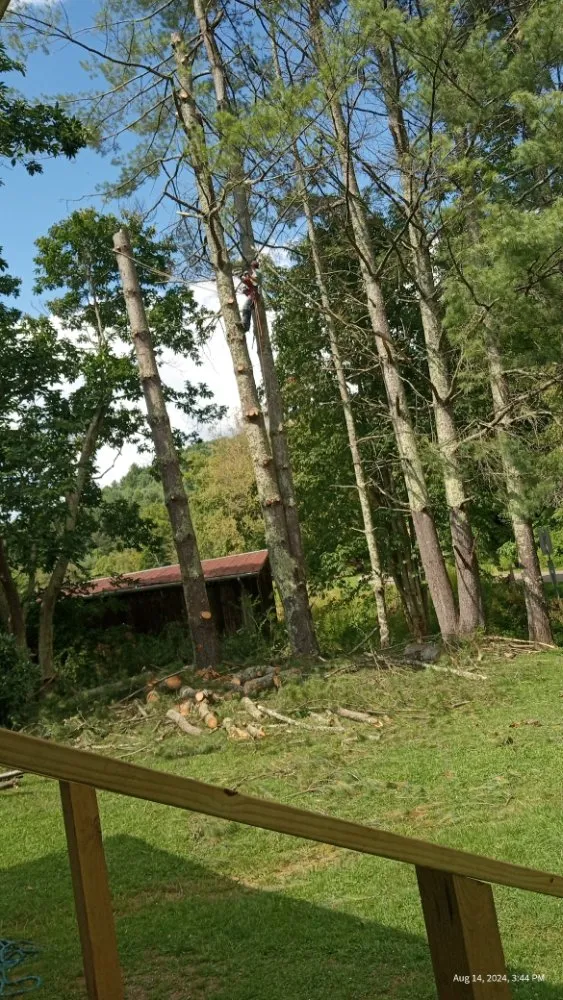 Reliable garden landscaping with custom design across Todd, NC - C&R Tree Service And Landscaping