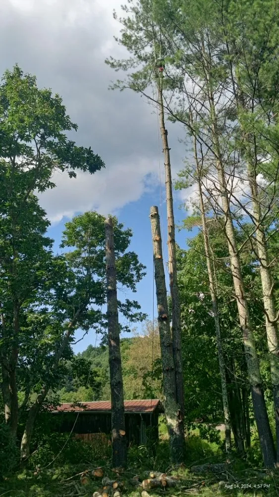 Expert landscape installation near you across Todd, NC - C&R Tree Service And Landscaping