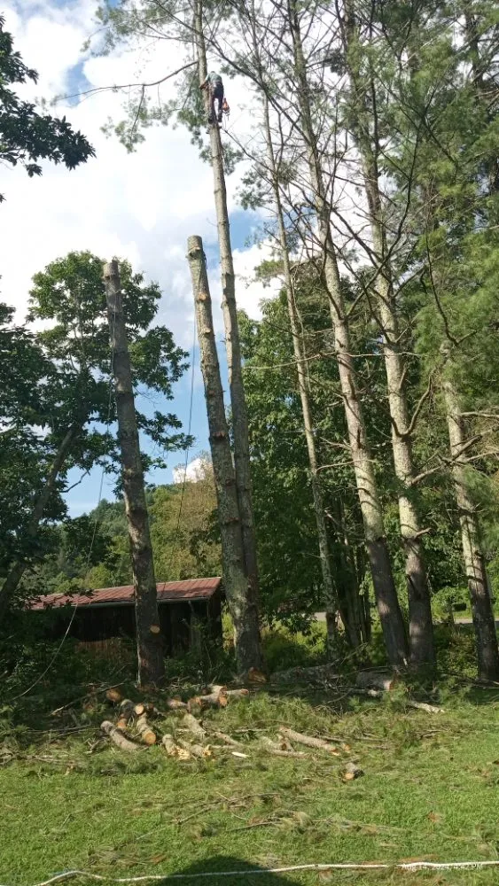 Affordable residential landscaping in Todd, NC by C&R Tree Service And Landscaping