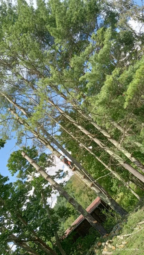 Professional residential landscaping near you in Todd, NC by C&R Tree Service And Landscaping