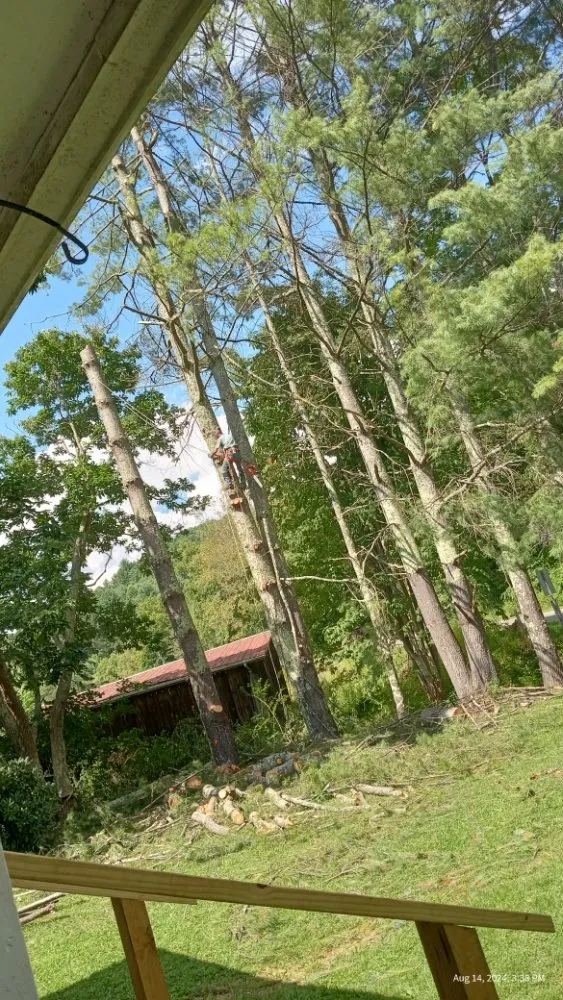 Trusted landscaping services in Todd, NC - C&R Tree Service And Landscaping