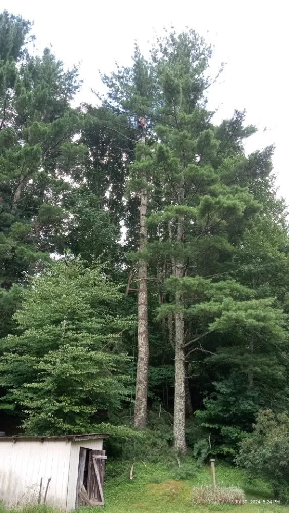 Custom yard maintenance in Todd, NC - C&R Tree Service And Landscaping