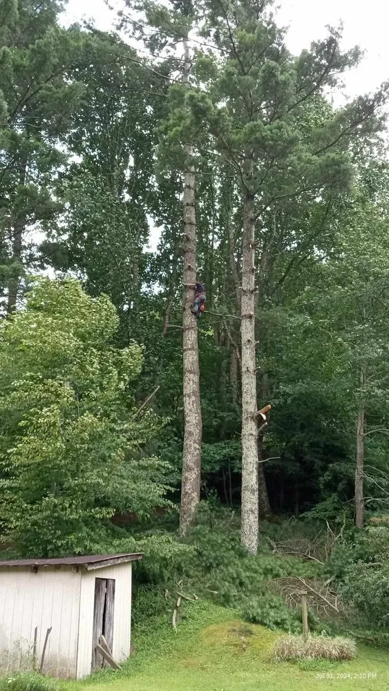 Expert residential landscaping for year-round maintenance across Todd, NC - C&R Tree Service And Landscaping