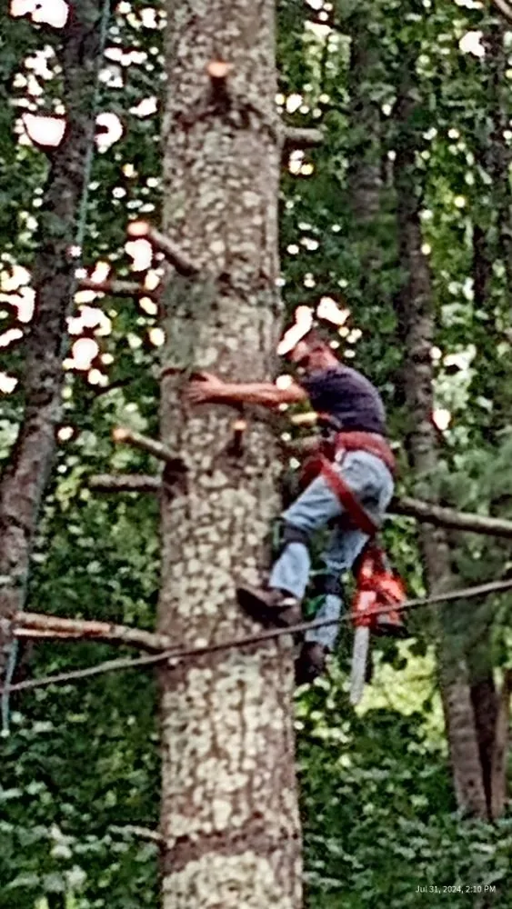 Custom landscape installation experts serving Todd, NC - C&R Tree Service And Landscaping