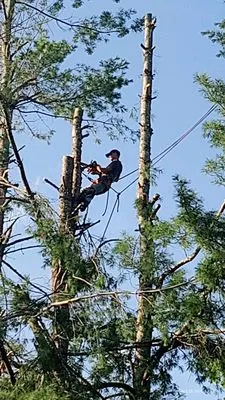 C&R Tree Service And Landscaping
