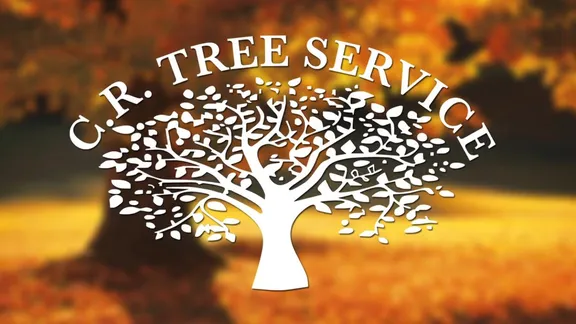 Top-rated lawn care service for year-round maintenance in Roosevelt, NY by C.R Tree Service
