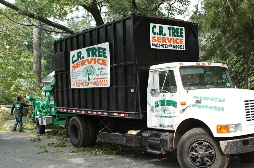 Top-rated yard cleanup service for homes in Roosevelt, NY by C.R Tree Service
