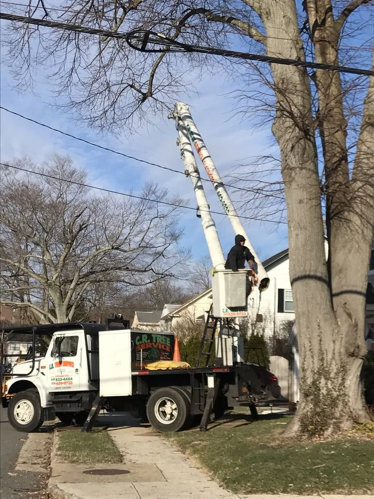Trusted lawn care service near you across Roosevelt, NY - C.R Tree Service