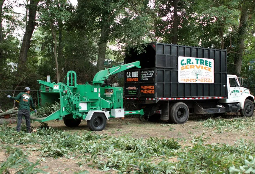Expert lawn mowing service with custom design across Roosevelt, NY - C.R Tree Service