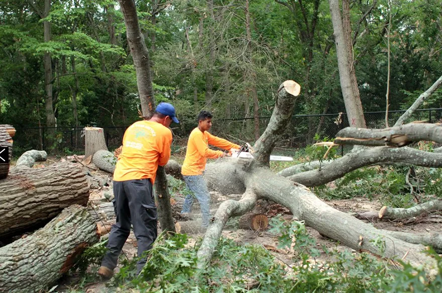 Trusted garden landscaping for year-round maintenance across Roosevelt, NY - C.R Tree Service