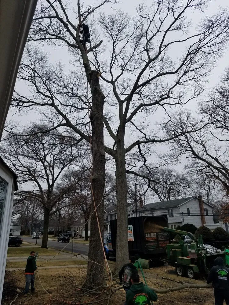 Affordable landscaping services in Roosevelt, NY by C.R Tree Service