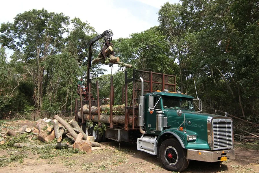 Affordable garden landscaping for year-round maintenance across Roosevelt, NY - C.R Tree Service