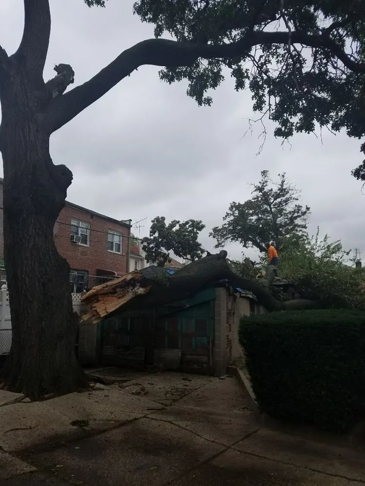 Expert landscaping services in Roosevelt, NY - C.R Tree Service