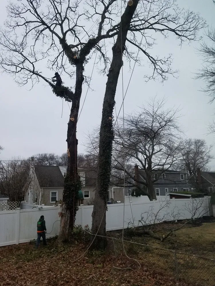 Expert landscaping services in Roosevelt, NY - C.R Tree Service