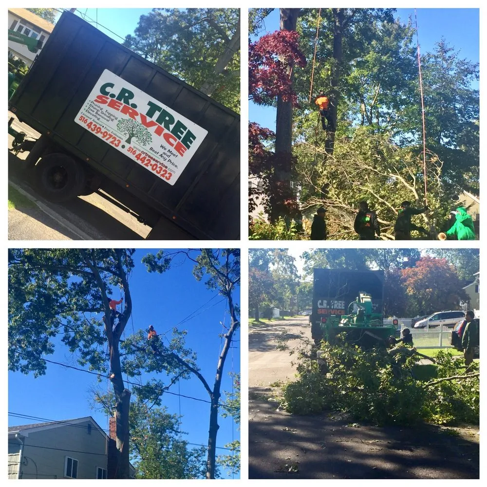 Top-rated landscape installation experts serving Roosevelt, NY - C.R Tree Service