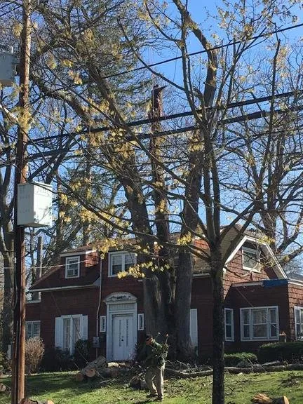 Reliable landscape installation for outdoor upgrades across Roosevelt, NY - C.R Tree Service