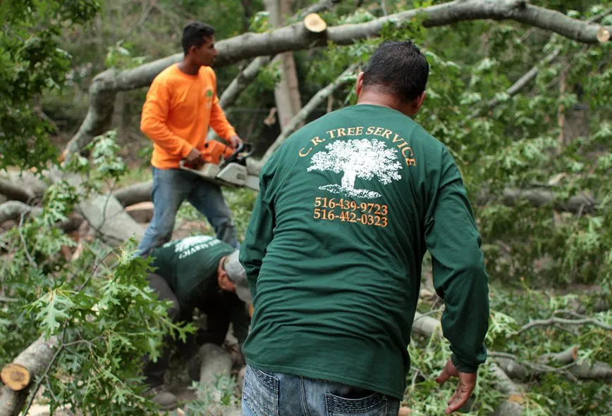 Expert landscape design for homes across Roosevelt, NY - C.R Tree Service