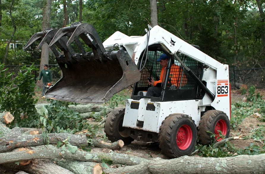 Affordable outdoor landscaping experts serving Roosevelt, NY - C.R Tree Service