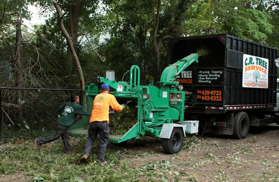 Custom yard cleanup service experts serving Roosevelt, NY - C.R Tree Service