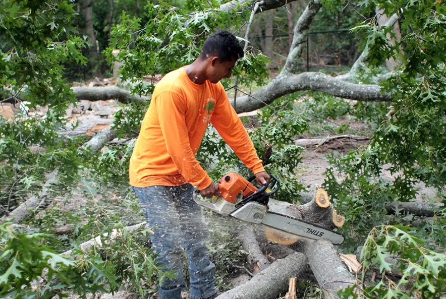 Professional garden landscaping for residential properties in Roosevelt, NY by C.R Tree Service