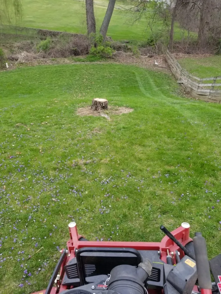 Expert garden landscaping experts serving Quincy, IL - Crabbes Lawncare