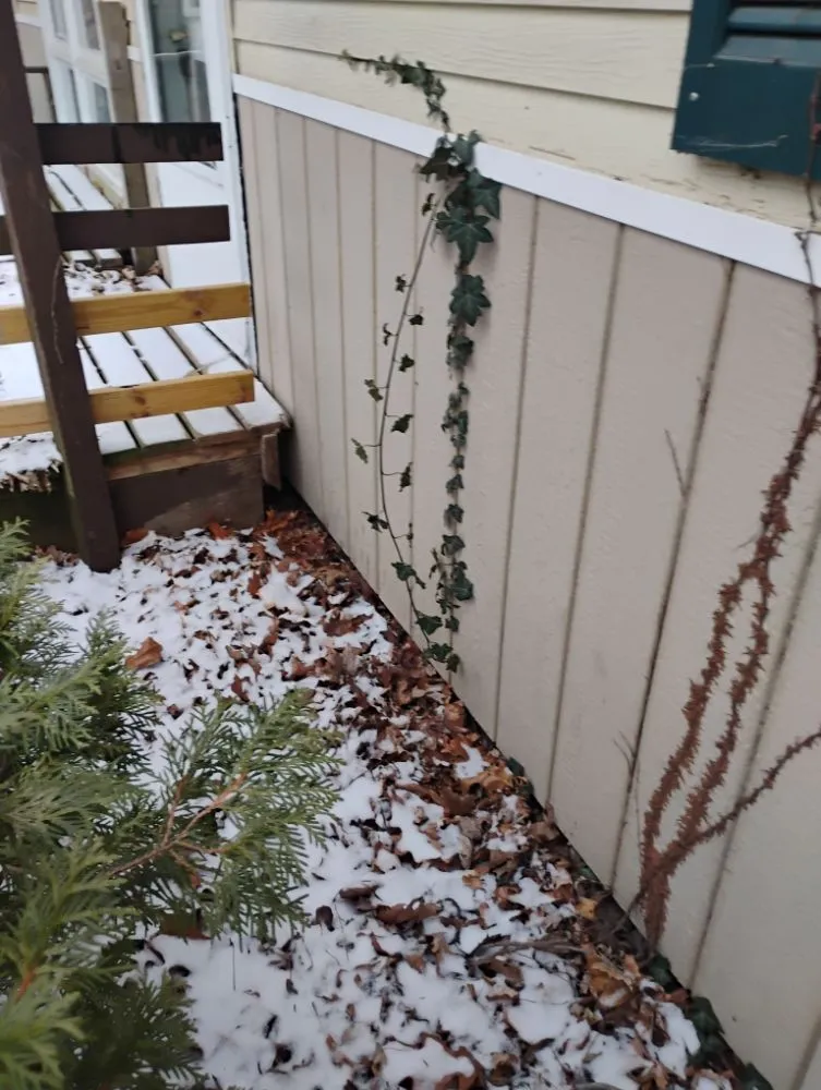 Local landscape installation for year-round maintenance in Quincy, IL by Crabbes Lawncare