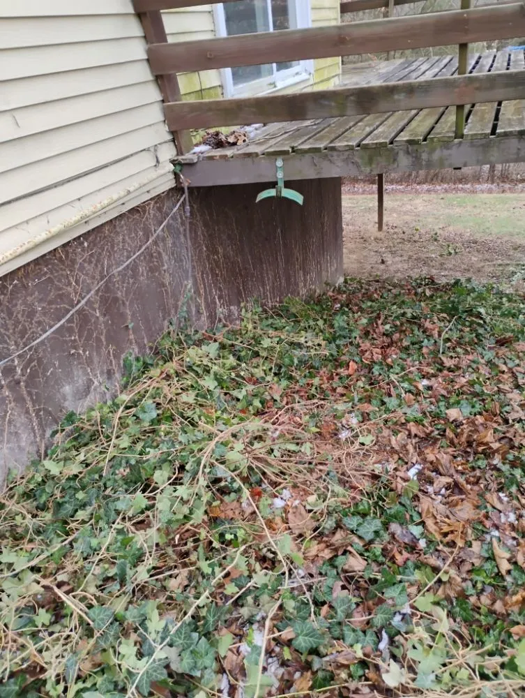 Custom lawn care service experts serving Quincy, IL - Crabbes Lawncare