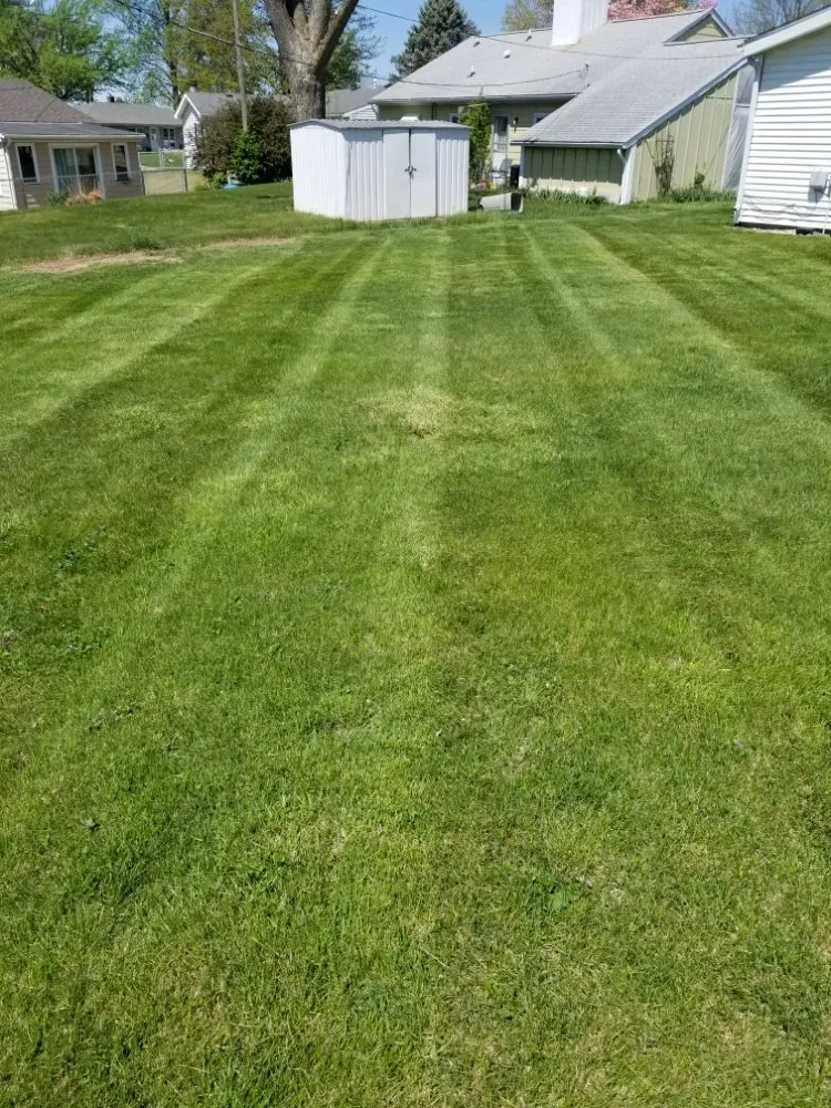 Custom yard cleanup service experts serving Quincy, IL - Crabbes Lawncare