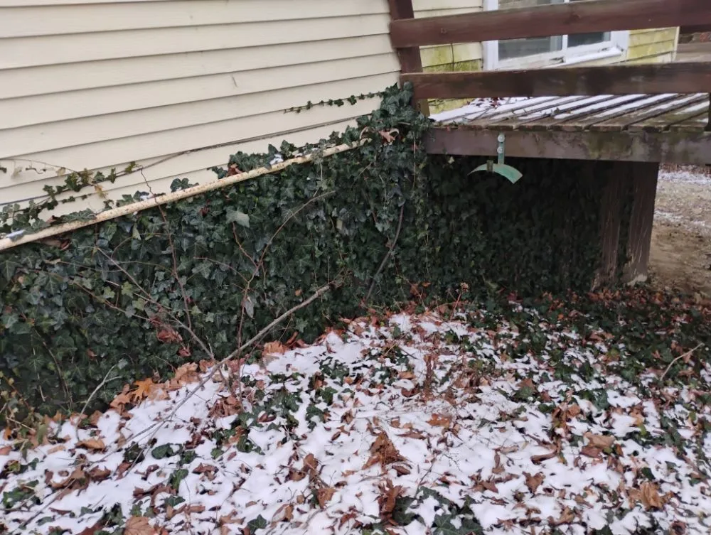 Reliable garden landscaping in Quincy, IL - Crabbes Lawncare