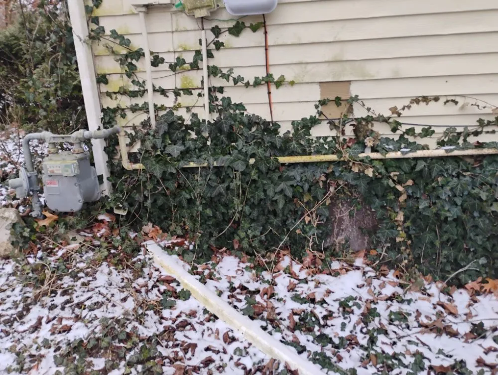 Custom garden landscaping in Quincy, IL by Crabbes Lawncare