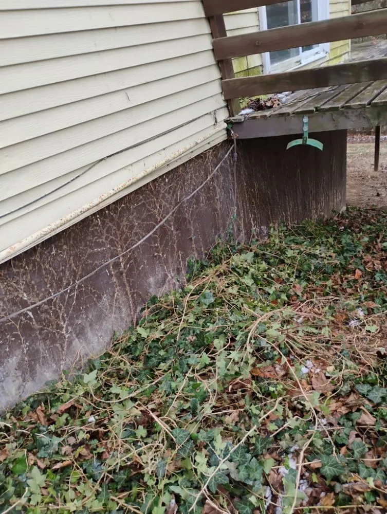 Custom lawn mowing service in Quincy, IL by Crabbes Lawncare