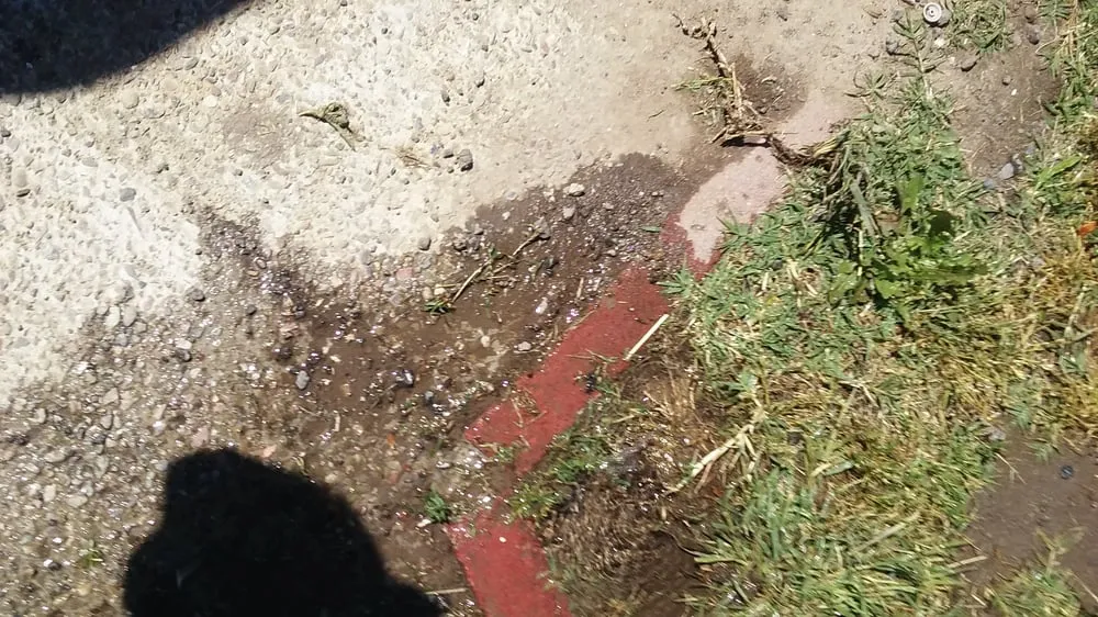 Top-rated landscape design for homes across Manteca, CA - Crabbush landscaping and Hauling