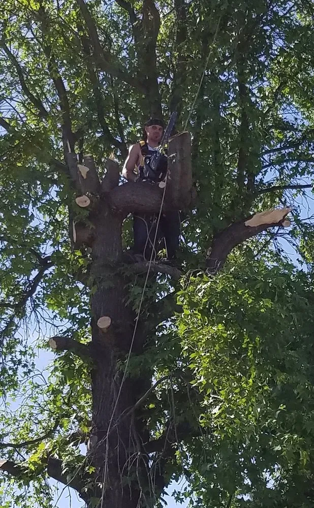 Trusted residential landscaping for homes across Manteca, CA - Crabbush landscaping and Hauling