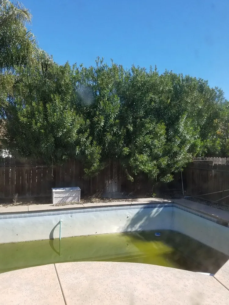 Affordable residential landscaping experts serving Manteca, CA - Crabbush landscaping and Hauling