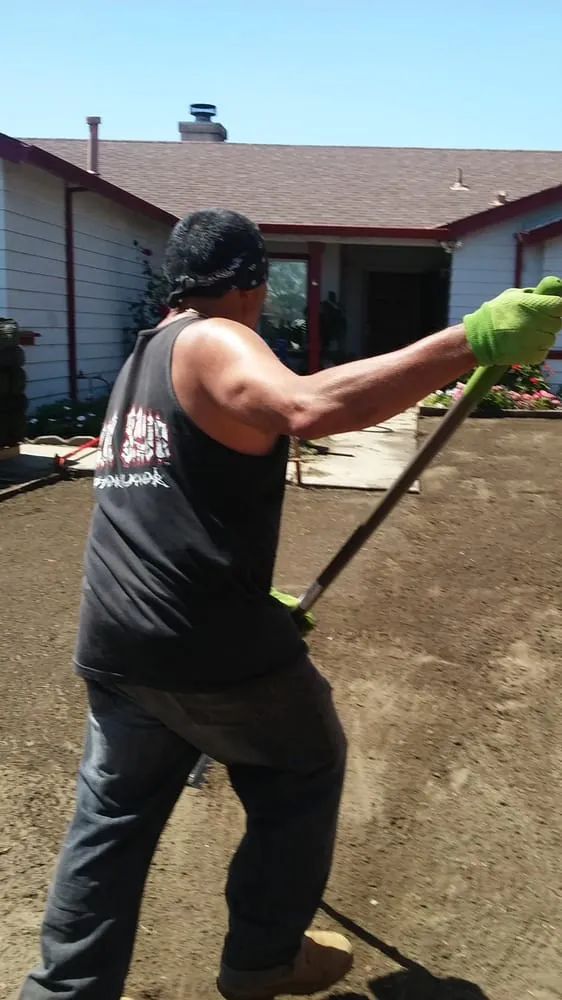 Professional lawn care service with custom design in Manteca, CA by Crabbush landscaping and Hauling