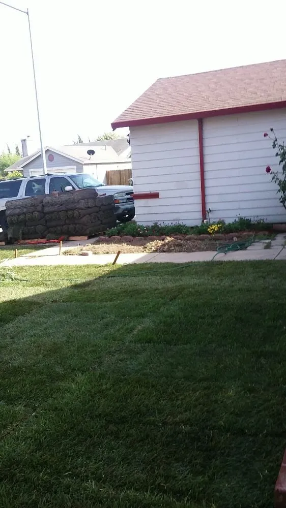 Trusted lawn care service in Manteca, CA - Crabbush landscaping and Hauling