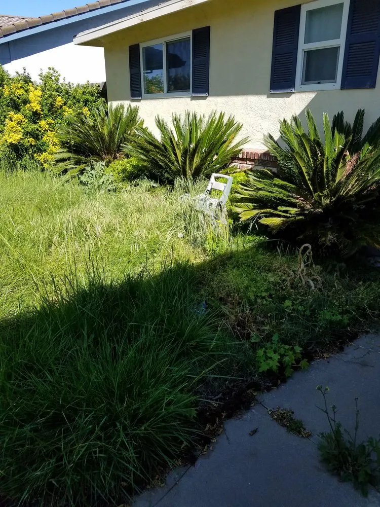 Expert landscape design for homes across Manteca, CA - Crabbush landscaping and Hauling