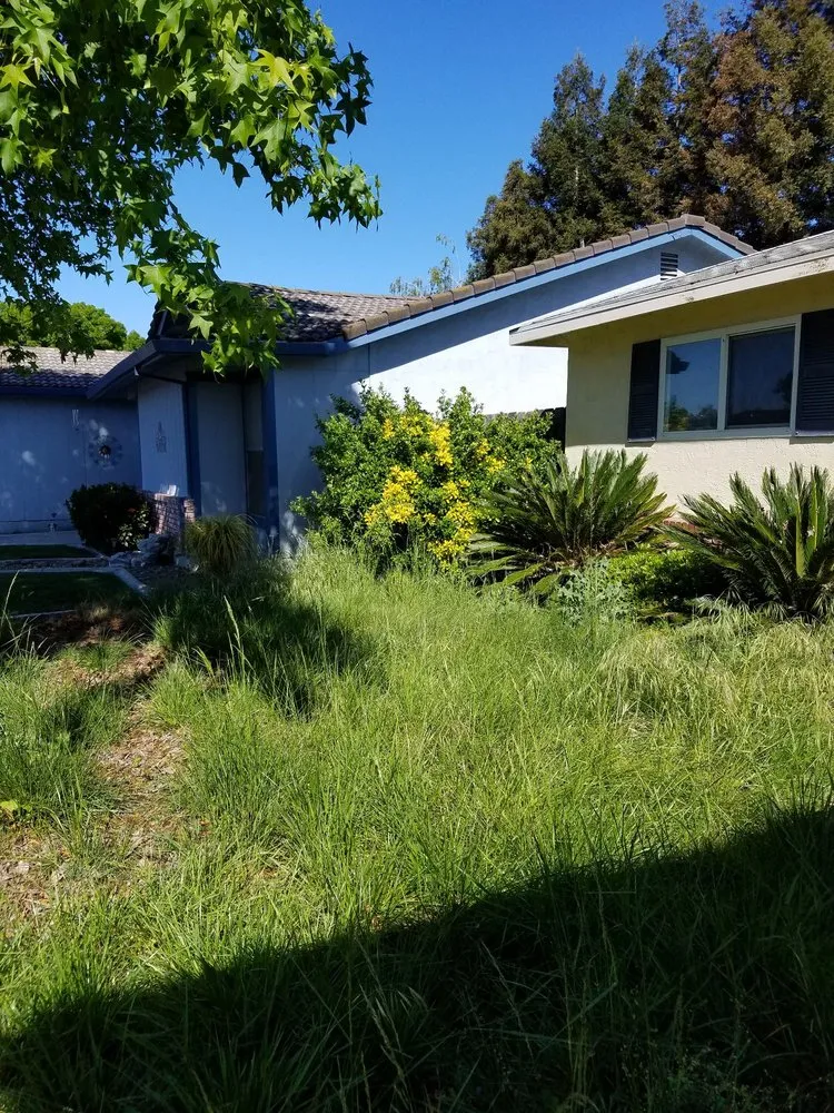Local lawn care service in Manteca, CA by Crabbush landscaping and Hauling
